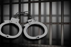 2 thanh tra thuế bị bắt vì cáo buộc tham nhũng 