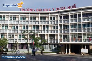 Thanh tra việc mua sắm trang thiết bị phòng chống dịch Covid-19 tại Trường Đại học Y Dược Huế