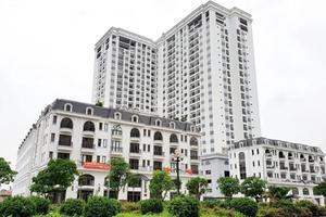 Công ty Cổ phần Cơ điện Công trình hạn chế huy động tiền vào sản xuất kinh doanh