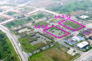 TP HCM: Kiến nghị tăng cường chế tài các trường hợp chấm dứt hợp đồng mua bán đấu giá tài sản