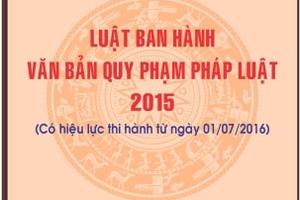 Phát hiện 01 văn bản có dấu hiệu trái pháp luật