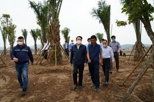 Kiểm tra tiến độ các dự án du lịch trên địa bàn thành phố

