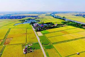 Chuyển 30,86 ha đất trồng lúa sang đất phi nông nghiệp để thực hiện khu đô thị mới Thanh Minh