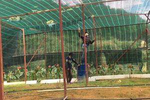 Phê bình chủ tịch UBND xã chậm trễ xử lý công trình nhà kính, nhà lưới trên đất lâm nghiệp