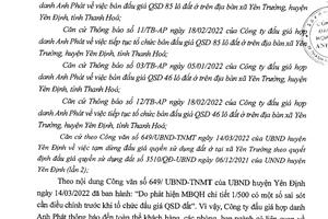 Vì sao Công ty Đấu giá Hợp danh Anh Phát tạm dừng đấu giá 131 lô đất ở xã Yên Trường ?