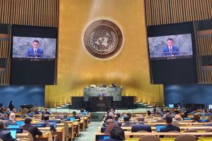 Việt Nam ủng hộ giải quyết các tranh chấp quốc tế bằng biện pháp hòa bình