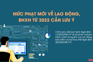 Vi phạm hành chính trong lĩnh vực lao động, bảo hiểm xã hội, một công ty bị xử phạt 156 triệu đồng