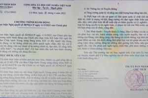 Cà Mau: Tăng cường thanh tra, kiểm tra trách nhiệm người đứng đầu trong phòng, chống tham nhũng