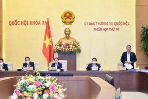 Đề nghị Hà Nội, TP HCM và 9 tỉnh giải quyết 13 vụ khiếu kiện đông người có dấu hiệu phức tạp 