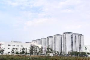 Hà Nội sẽ giám sát việc quản lý, sử dụng tài sản công

