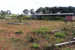 Nhiều lãnh đạo Trường CĐDL Đà Lạt bị đề nghị xem xét trách nhiệm