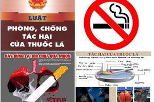 Thuốc lá - mối đe dọa tới môi trường của chúng ta