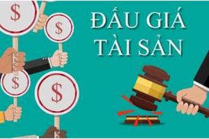An Giang: Tiến hành 6 cuộc thanh tra trong lĩnh vực đấu giá tài sản
