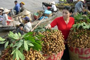 Bố trí kinh phí thực hiện các chương trình phát triển nông nghiệp, nông thôn vùng ĐBSCL