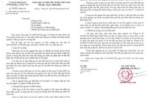 Xử lý nghiêm hành vi tiếp tay, bao che vi phạm về đấu giá quyền sử dụng đất