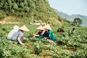 Hỗ trợ 22 huyện nghèo thoát khỏi tình trạng nghèo, đặc biệt khó khăn 