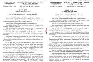 Đắk Nông: Xử phạt 210 triệu đồng đối với 2 cá nhân vì chiếm đất rừng