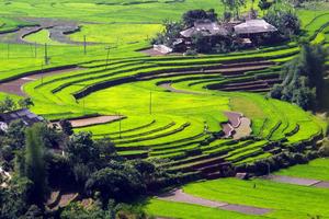 Phát triển du lịch nông thôn gắn với phát huy tiềm năng, lợi thế về nông nghiệp, làng nghề

