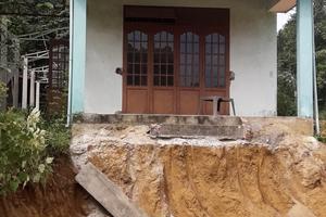 Hành xử theo kiểu… “luật rừng”