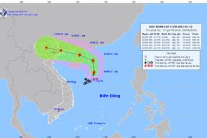 Áp thấp nhiệt đới đã mạnh lên thành bão số 2, giật cấp 10