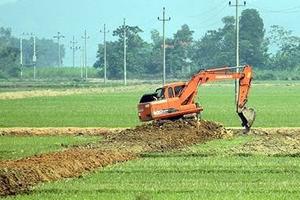 Làm rõ thẩm quyền chuyển mục đích sử dụng đất trồng lúa để thực hiện Dự án tại Long An