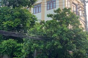 UBND TP Thanh Hoá cần rút kinh nghiệm trong việc tham gia ý kiến về chủ trương đầu tư DA