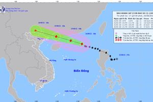 Cung cấp thường xuyên các thông tin về cơn bão số 3 để chủ động chỉ đạo ứng phó