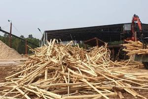 Tạm ngừng cấp điện đối với dự án của Công ty TNHH Phát triển Đông Hồi