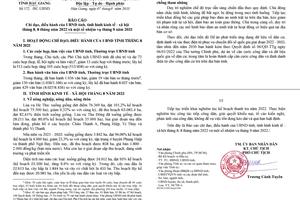 Hậu Giang: Thực hiện 21 cuộc thanh tra hành chính và 134 cuộc thanh tra, kiểm tra chuyên ngành