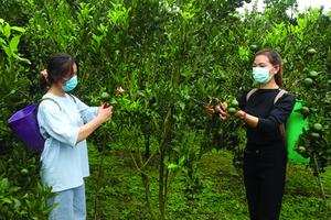 Nhiều địa phương ở Lào Cai có nguy cơ "lỡ hẹn" về đích nông thôn mới