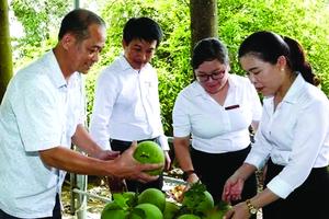 Đồng hành cùng nhà nông khởi nghiệp