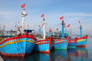 Thành lập Hội đồng thẩm định Quy hoạch cảng cá, khu neo đậu tránh trú bão cho tàu cá