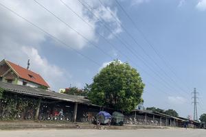 Tổng Công ty Xây dựng Thanh Hóa bị buộc phá dỡ hạng mục xây dựng vi phạm