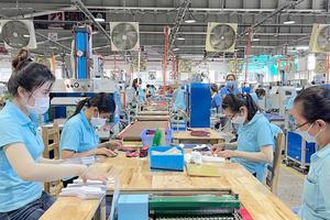 Triển khai “từ sớm, từ xa” các giải pháp để phát triển người tham gia BHXH, BHYT