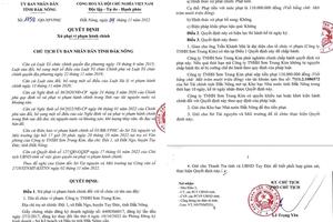 Vi phạm quy định trong lĩnh vực khoáng sản, một doanh nghiệp bị phạt 110 triệu đồng