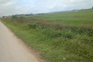 Dự án Chi nhánh Bến xe khách sau 4 năm vẫn là bãi đất hoang