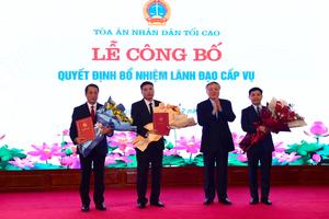 Tòa án nhân dân Tối cao bổ nhiệm các lãnh đạo cấp vụ