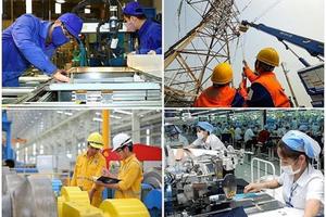 Chính sách đối với người lao động dôi dư khi sắp xếp lại công ty TNHH MTV do Nhà nước nắm giữ 100% vốn điều lệ