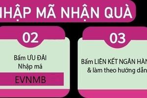 Nhập mã “EVNMB” Quà tặng để MoMo lo!