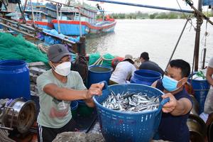 Nhất quán quan điểm trong thực hiện nhiệm vụ chống khai thác IUU
