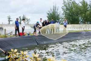 Tôm Việt bền bỉ giữ thị trường