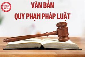 Bãi bỏ một số văn bản quy phạm pháp luật của Chính phủ