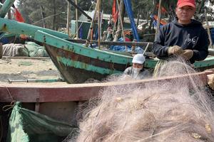  Ngư dân ra khơi đón “lộc biển” 