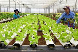 Chương trình hành động của Chính phủ thực hiện Nghị quyết số 20-NQ/TW 