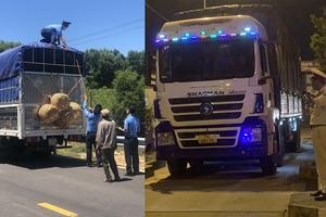 Bình Định: Liên tiếp xử lý lái xe chở quá tải, chống đối lực lượng làm nhiệm vụ