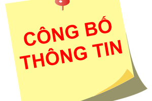 Xử phạt Công ty Cổ phần Vật liệu xây dựng và Trang trí nội thất TP Hồ Chí Minh