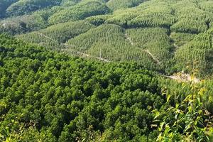 Tỉnh Bắc Giang báo cáo Ban Dân nguyện về đơn thư của công dân