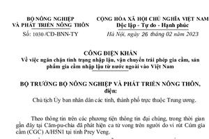 Công điện khẩn ngăn chặn tình trạng nhập lậu trái phép gia cầm vào Việt Nam