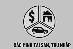 32 cán bộ ngành Tòa án sẽ được xác minh tài sản, thu nhập trong năm 2023