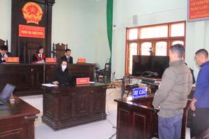 6 năm tù cho 2 bị cáo phạm tội "hủy hoại rừng"